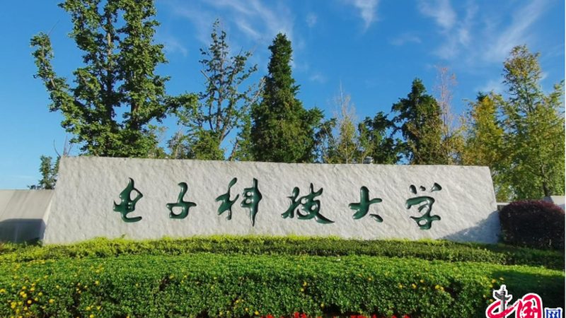 家电维修中的关键电子配件解析
